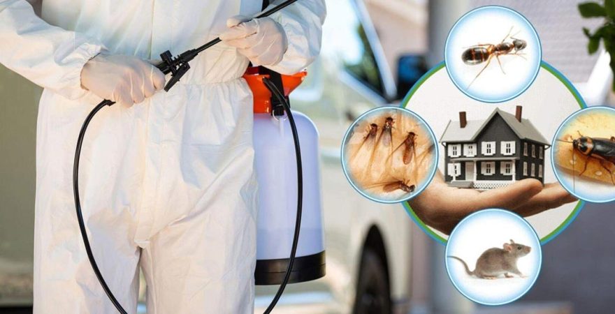 Alanya Böcek İlaçlama