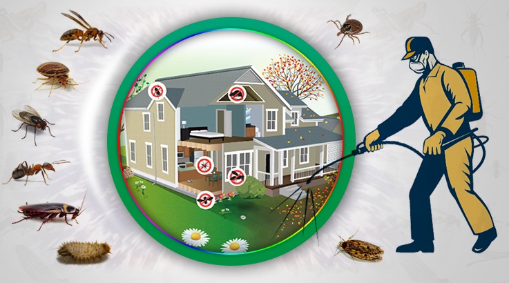 Alanya Böcek İlaçlama