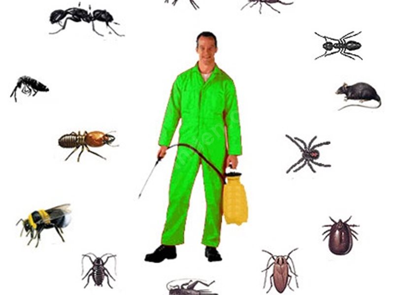 Alanya Böcek İlaçlama